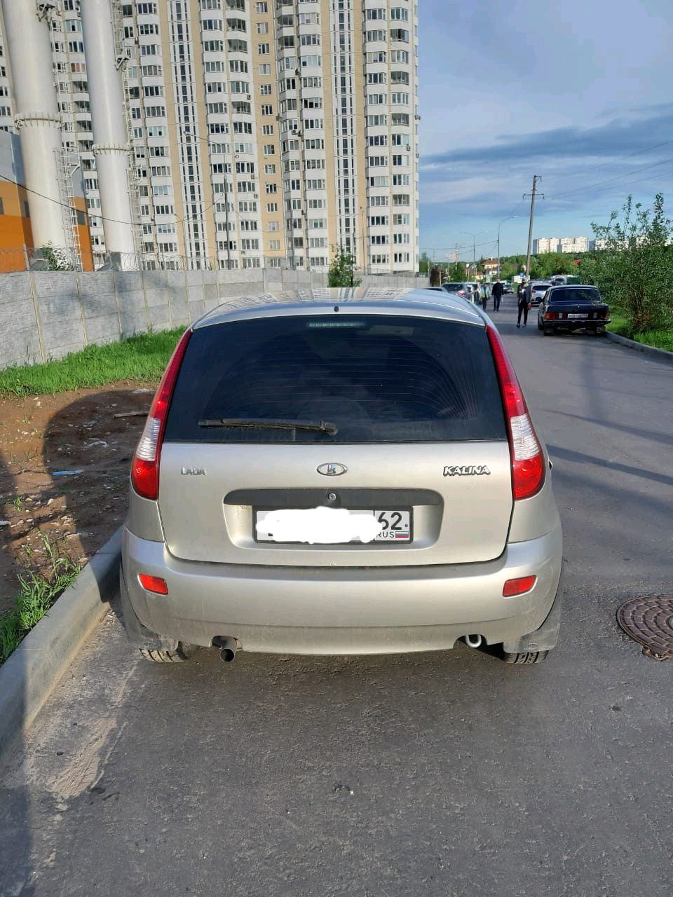 Калина 2012 года