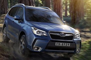 Subaru Forester Subaru Forester